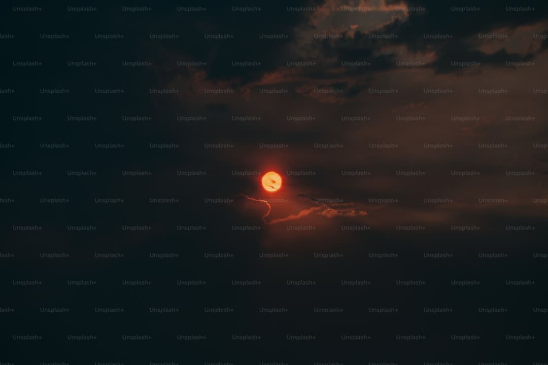 王星越白鹿联系解析：又爱又恨的宿舍日常引发热议